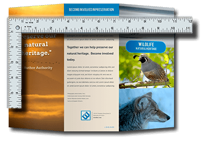 measure the brochure flat